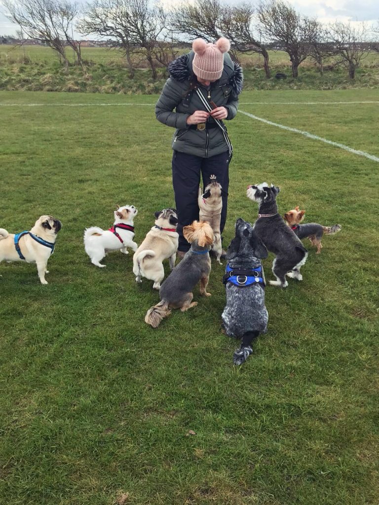 c251f391 c239 4f1d 9b98 e5b0f91234d8